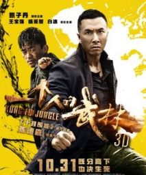 一个人的武林/Kung Fu Jungle / Last of The Best/Kung Fu Killer